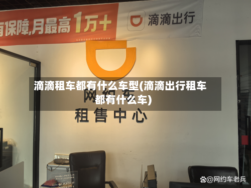 滴滴租车都有什么车型(滴滴出行租车都有什么车)-第2张图片