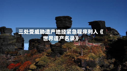 三处受威胁遗产地经紧急程序列入《世界遗产名录》