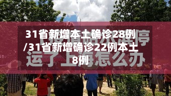 31省新增本土确诊28例/31省新增确诊22例本土8例