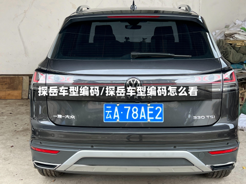 探岳车型编码/探岳车型编码怎么看-第2张图片