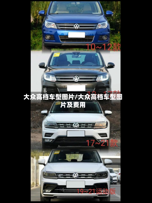 大众高档车型图片/大众高档车型图片及费用