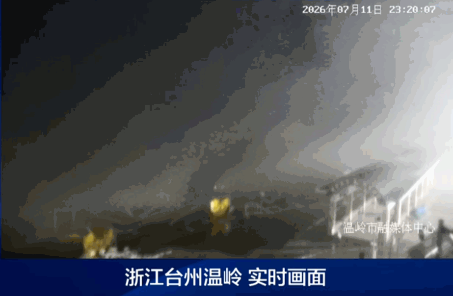 “巴威”最新路径公布！0时在浙江乐清二次登陆，5时减弱为强热带风暴	，中心最大风力11级